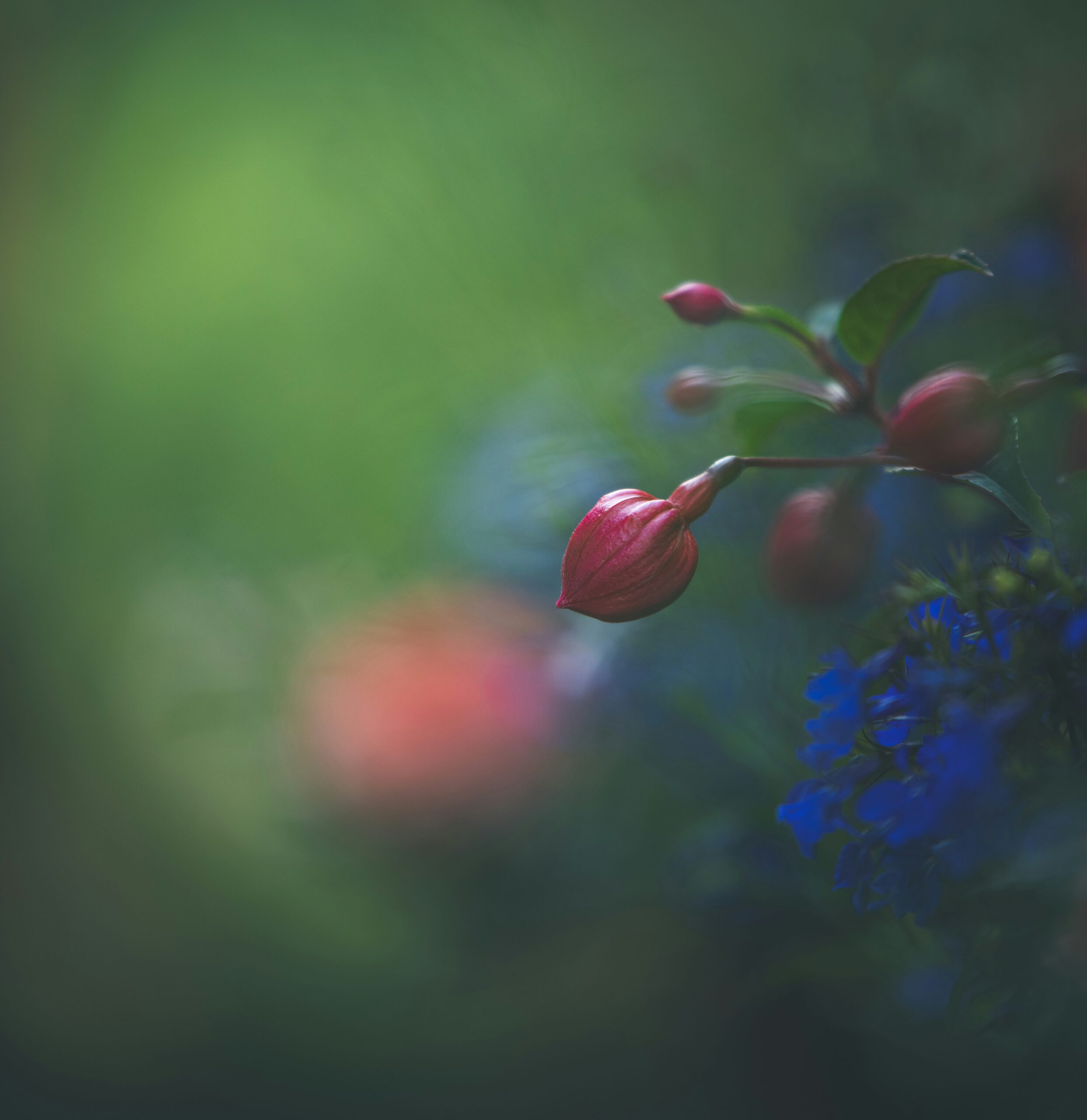 matt-baron-thompson-XVQYvgufSs0-unsplash