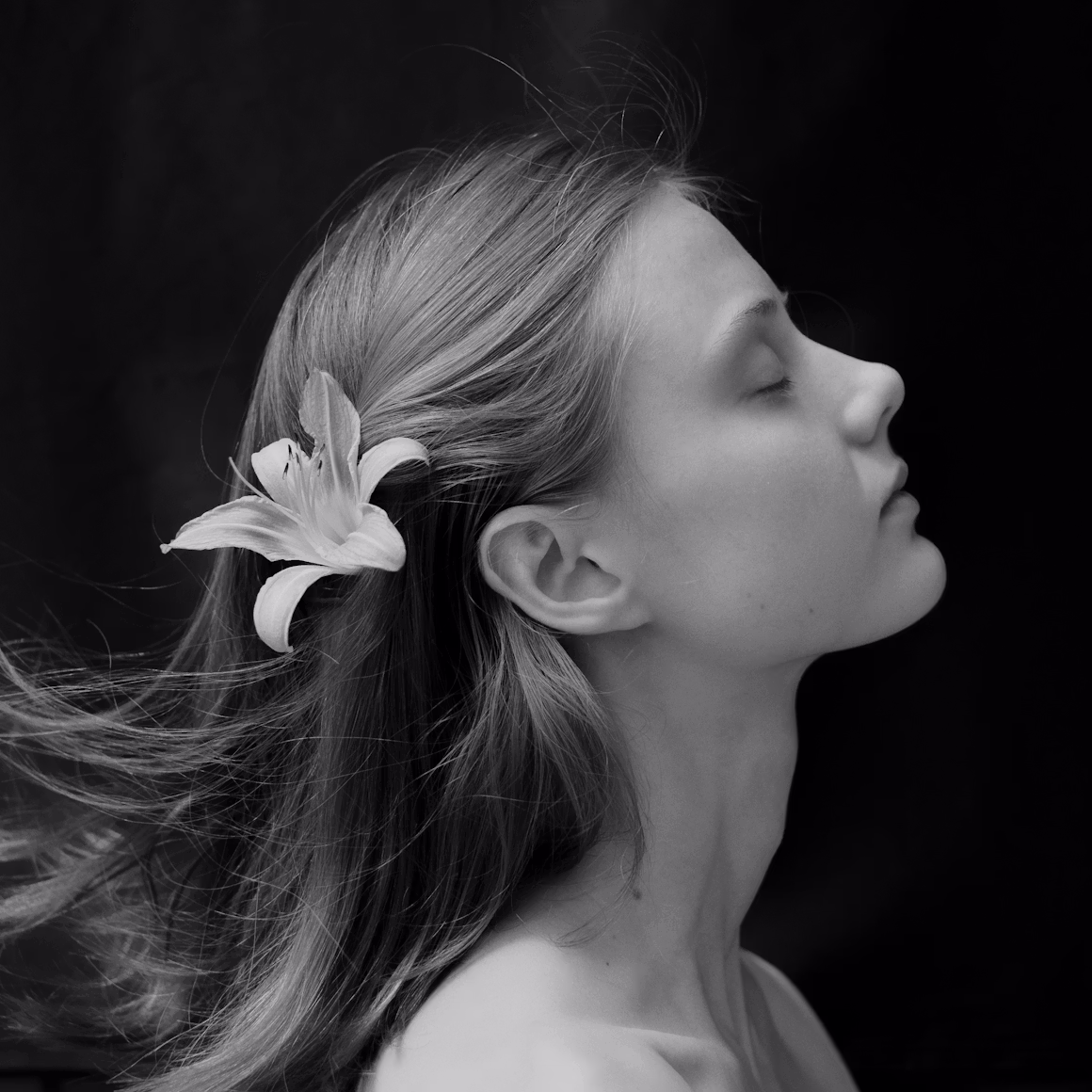 photo-1765219097354-af1a2c5db2ec